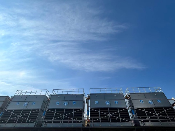 新琪安集團(tuán)